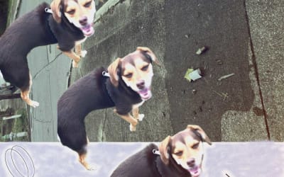 Mahto & The Loose Balloons capturan magia en “On Air” - La Caverna