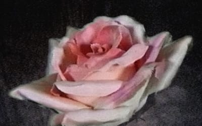 Pearly Drops Shares New Single “Heaven”: Listen