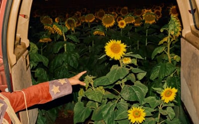 Kevin Morby Announces New Album ‘Little Wide Open’: Hear “Javelin”