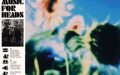 TV Star Announce Debut Album ‘Music For Heads’: Hear “Out Of My Bag”