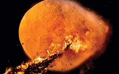 Thurston Moore and Kramer Release Gaza Tribute Album