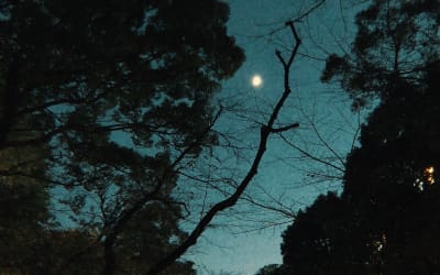 Stream British Fingerstyle Master James Blackshaw's New Album ‘Fractures On The Horizon’