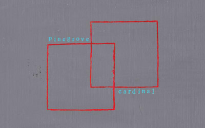 Pinegrove's ‘Cardinal’ Turns 10