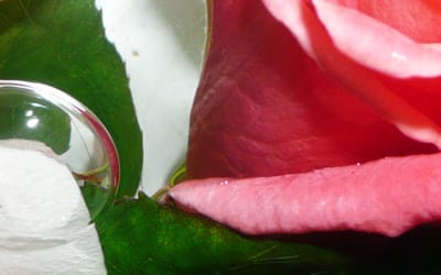 Ms Ray & Nourished By Time Share New Song “Miss You”: Listen