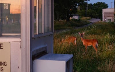 Yebba Announces New Album ‘Jean’: Hear “Yellow Eyes”