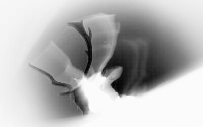 Nerves Share New Single ‘N26’: Listen