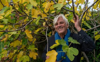 Tour news: Neil Young, Robyn Hitchcock, St. Vincent, Sierra Ferrell, Frankie Cosmos, more