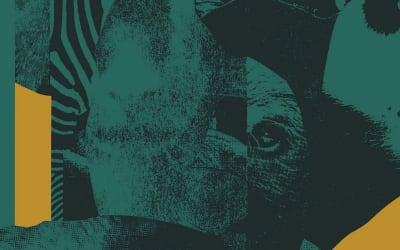 9 New Songs Out Today