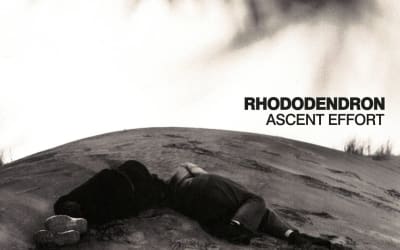 22 New Songs Out Today