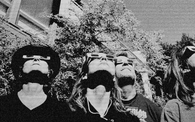 The Breeders announce 2026 summer tour