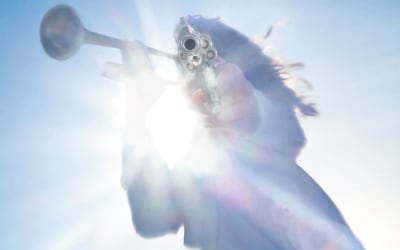 Geese: Getting Killed