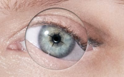 Robyn: “Dopamine”