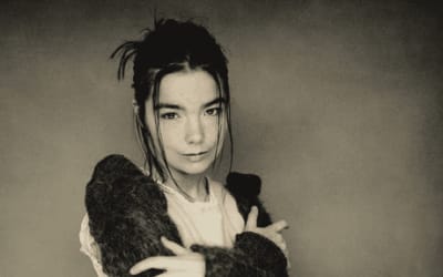 Björk: “Human Behaviour”