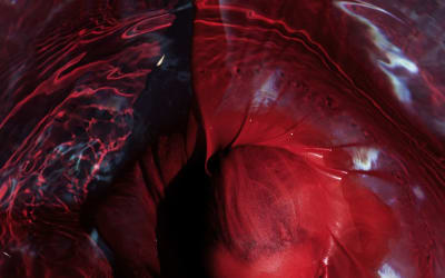 Blackwater Holylight: Not Here Not Gone