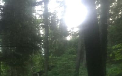 december releases new single ‘i tried’.