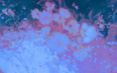 Snowcuffs share latest track ‘Burst’.