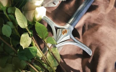 Sungaze return with new track ‘Be a Better Man’.