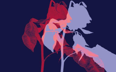 Single: Club 8 – Echoes of Our Time