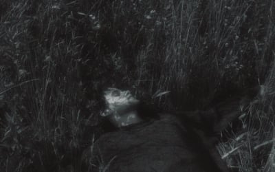 Single: Front Pocket Flora – If You Had Me