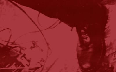 Single: Mount Mural – Out and Down