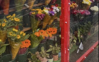 Single: baby hollis – it’s sweet