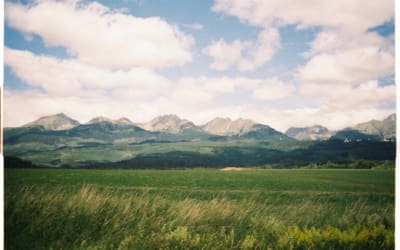 I Speak, But No One Listens: Art as Expression vs. Art as a Commodity