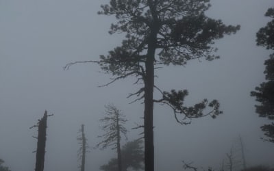 Single: Beach Vacation – Quietly Drowning