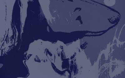 Single: Dog Silent – Welcome to the Ocean of My Drowned Stars