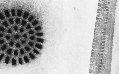 Single: Public Meltdown – Pay No Mind