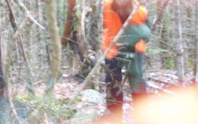 Single: Reid Pressley – Im Not Alone