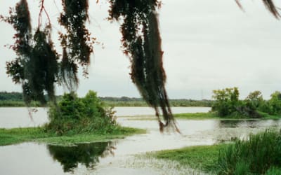 Single: Sasha & the Bear – Air