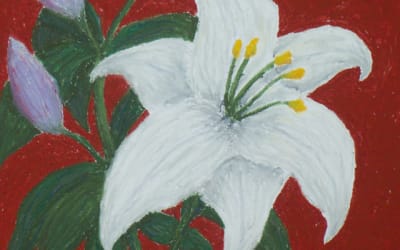 Single: Spirited Followers – Returning