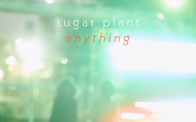Single: sugar plant – anything