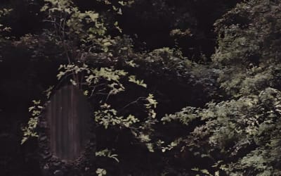 Single: Colourwash – Frogman