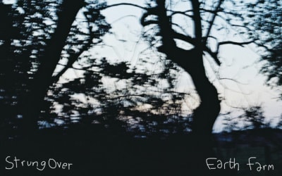 Single: Earth Farm – Strung Over