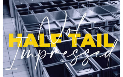 Single: Half Tail – Not Impressed