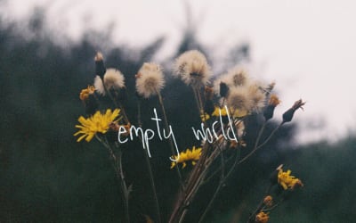 Single: Feverishh – Empty World