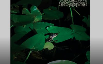 Crespi Drum Syndicate – Colada Talk