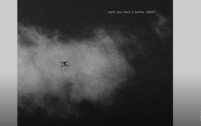 Aria Rostami – Were You Born a Bunny Rabbit?