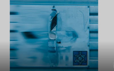 Davorama – Low Enforcement