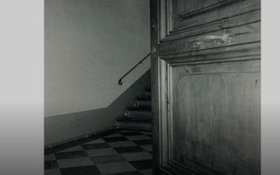 Cancer House – The Moth