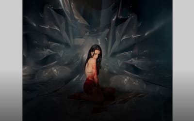 Noémi Büchi – Exuvie