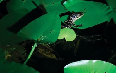 7 new dance albums we can’t wait to hear in the club