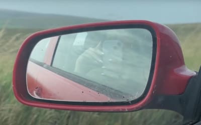 Laura Groves – Yes