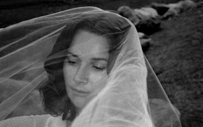 Georgia Gets By – Faded Rose