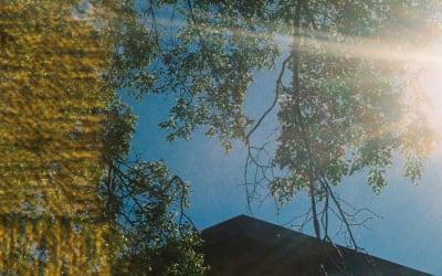 Nice Weather - Second Hand