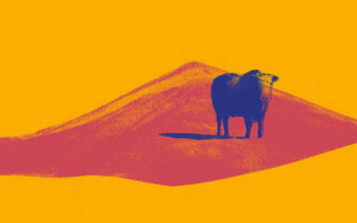 New Music: Club 8 – Travel Back In Time | AnalogueTrash