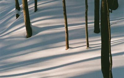 Isabel Pine – Fables (★★★★): Prachtige winterse landschappen