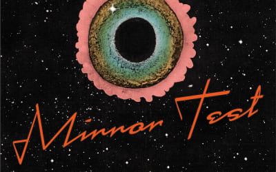 Nieuwe single Pigeon - “Mirror Test”