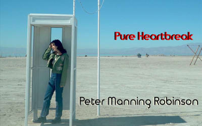 PETER MANNING ROBINSON | singolo | DISTOPIC.IT